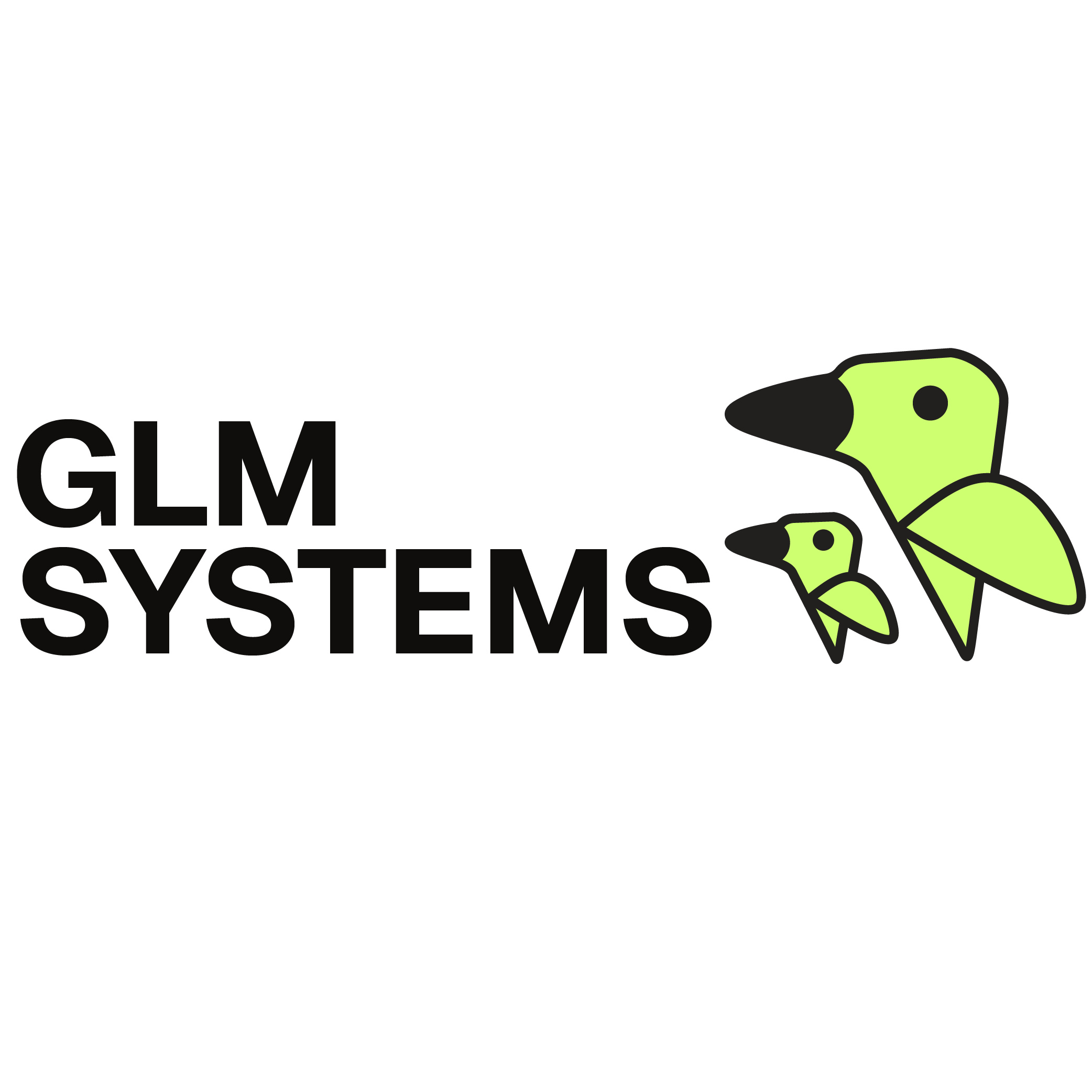 GLM Systems